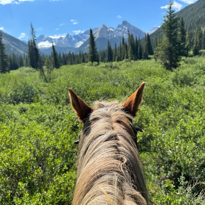 Vacation Blog | Travel, Trek, & Tour