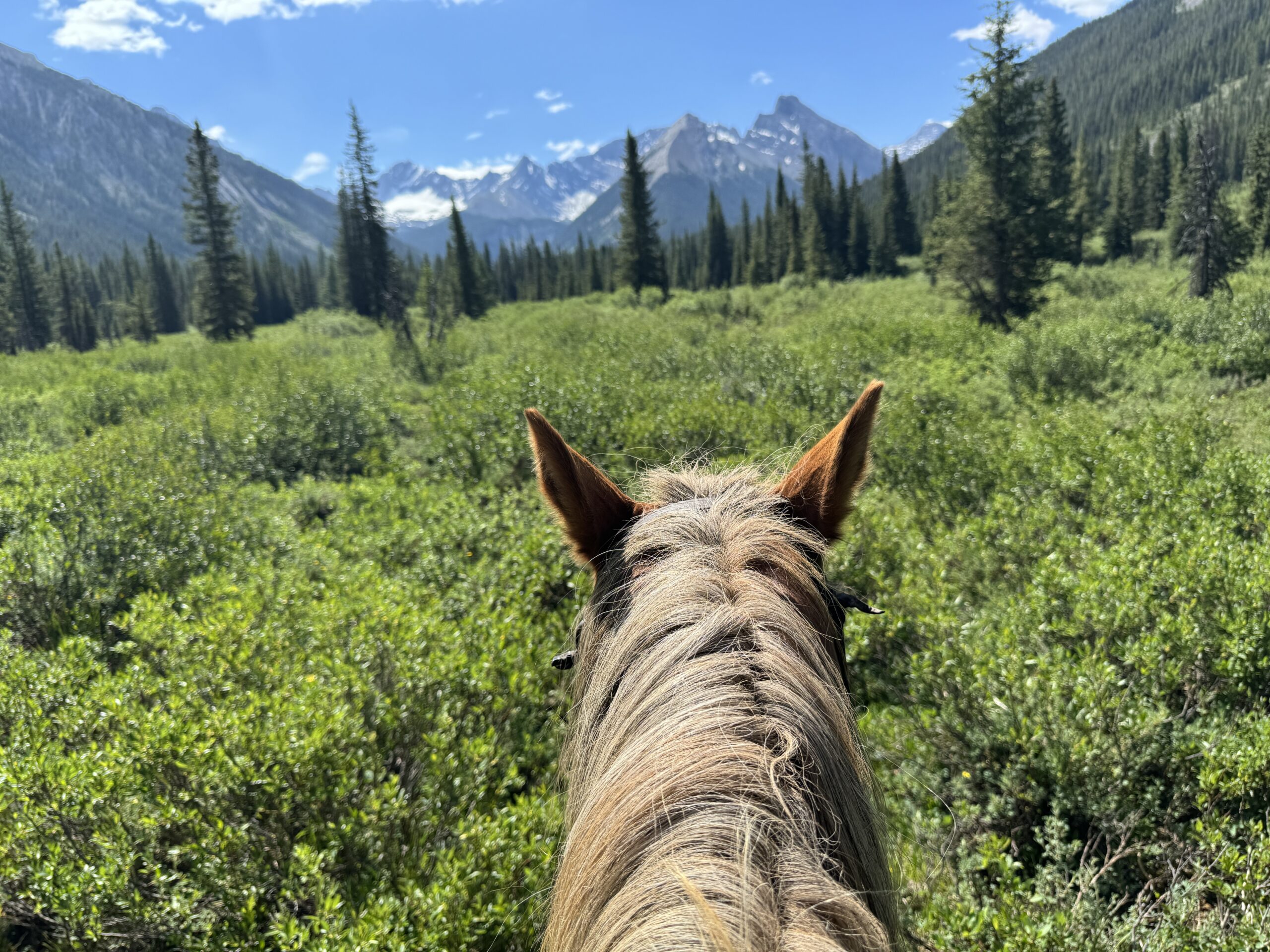 20240715_175318422_iOS